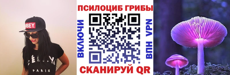 Купить  Сергач  Галлюциногенные грибы прущие грибы 