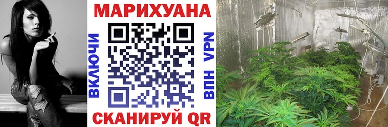 Шишки марихуана Amnesia  Купить где  Сергач 